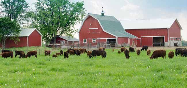 302 – Çiftlik Faaliyetlerinin Çeşitlendirilmesi ve İş Geliştirme