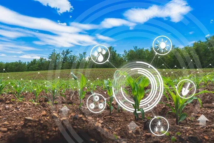 Dijital Tarım Nedir?