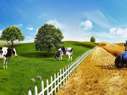 MERA ISLAH VE AMENAJMAN PROJELERİ